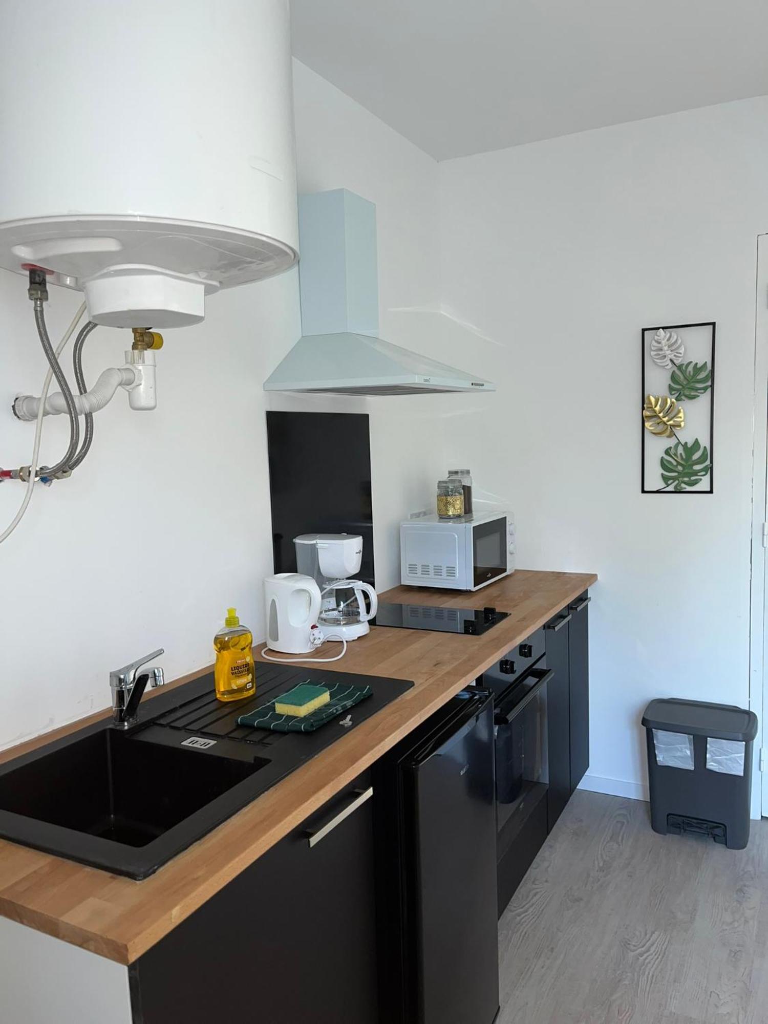 Studio Tropical , Vierzon , Proche Gare , Tout Confort Luaran gambar