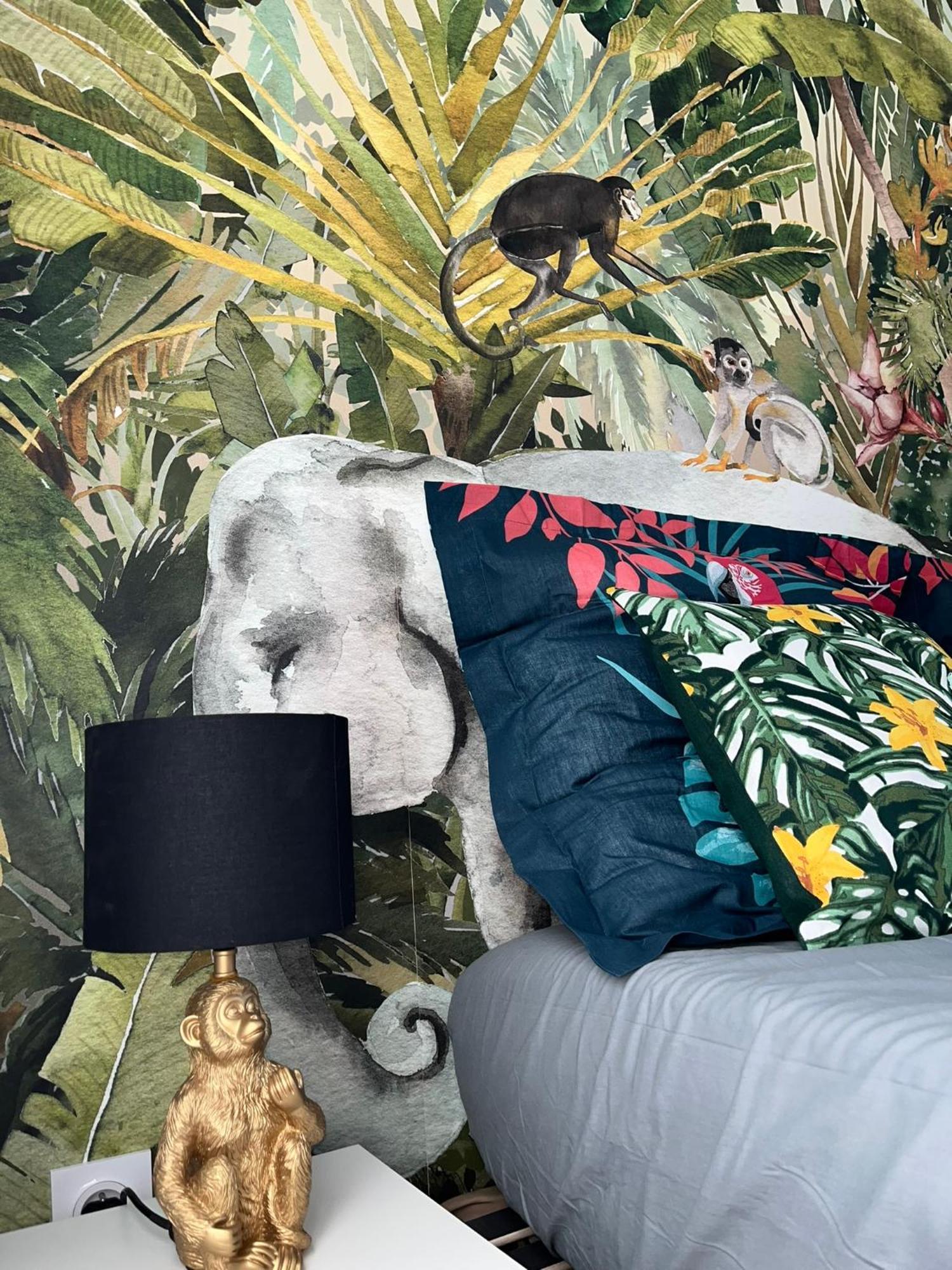 Studio Tropical , Vierzon , Proche Gare , Tout Confort Luaran gambar
